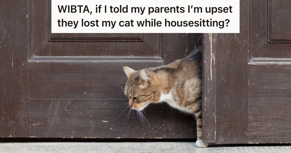 cat walking out wooden door