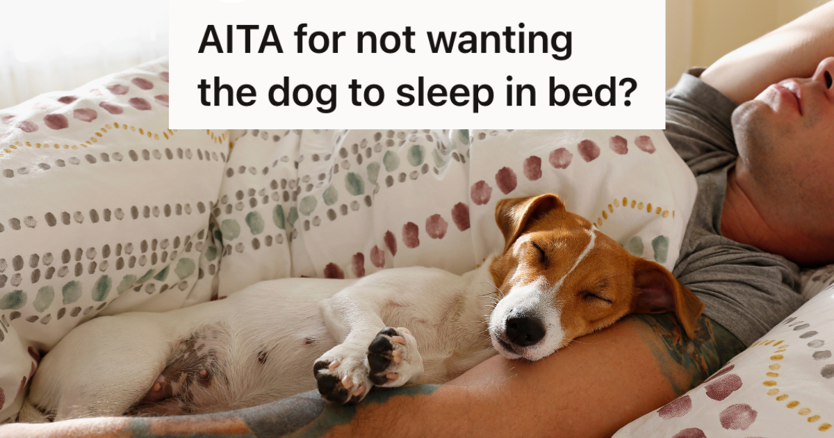 dog sleeping in bed next to man's arm