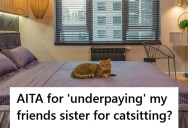 Woman Offered Average Payment For Teen To Cat-Sit For Five Days, But She Thinks It’s Not Enough Money In This Economy