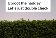 Her Neighbor Demanded She Remove Her Hedge, But When She Ordered A Property Survey, She Discovered Her Neighbor Had Wrongfully Built On Her Property