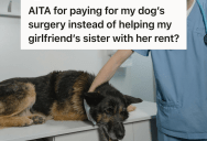 Pet Owner Spent Thousands To Help His Sick Dog Walk Again, But His Girlfriend Called Him Selfish For Not Paying Her Struggling Sister’s Rent