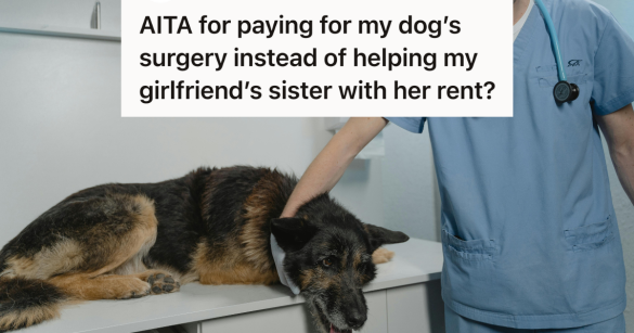 dog at the vet