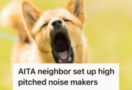 Dog Owner Just Wanted To Walk Peacefully Down The Street, But Her Neighbors Noise Maker Made Her Pooch Bark Like Crazy