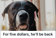 Employee Enforced A No Pets Policy, So A Furious Shopper Swore He Was Done Shopping There, But His Gift Card Exposed His Bluff.