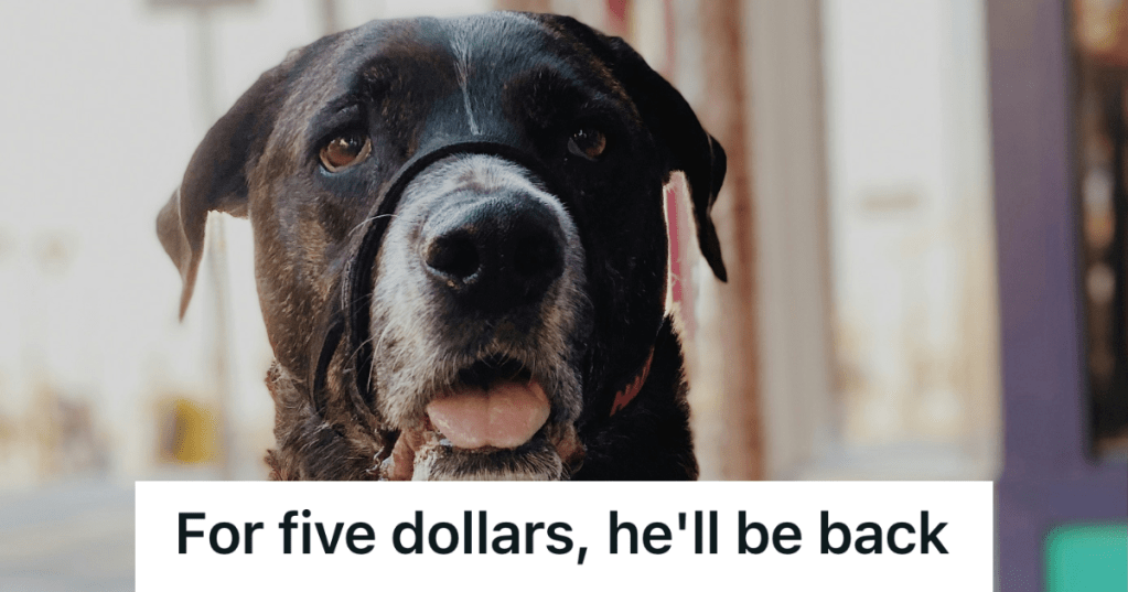 dog wearing nuzzle in public