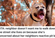 Dog Owner’s Neighbor Demands She Stop Walking Down Her Street, But She Refuses To Avoid A Public Road Just Because Of A Reactive Pitbull