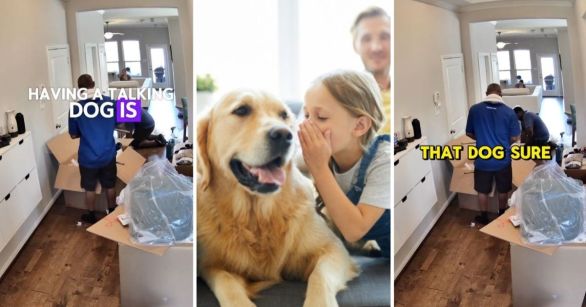 Movers and talking dog