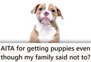Daugther Wanted A Puppy To Liven Up Their Multi-Generational Home, But Everything Quickly Turned Very Sour