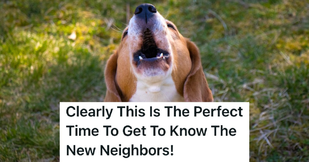 dog howling in the backyard