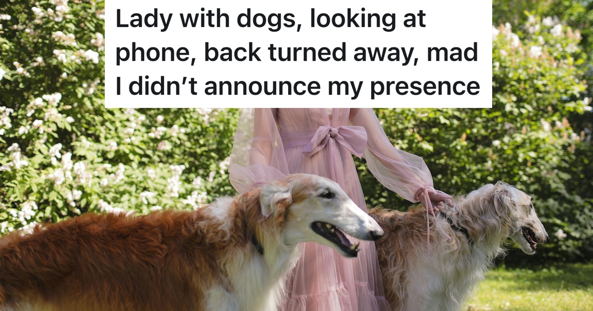 lady walking two dogs