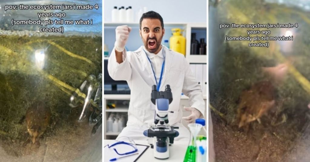 Life in a jar and mad scientist