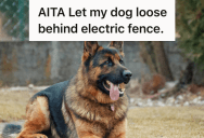 German Shepherd Owner Assumed Everyone Would Trust His Dog, But A Cautious Neighbor Proved Him Wrong And It Sparked A Fight