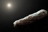 Prominent Astronomer Avi Loeb Proposes That An Interstellar Object Entering Our Solar System May Be A Spacecraft Powered By Nuclear Energy