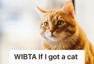 Her Desire For A Pet Outweighed Her Respect For Her Husband’s Wishes, So She Contemplated Bringing Home A New Kitten Anyway