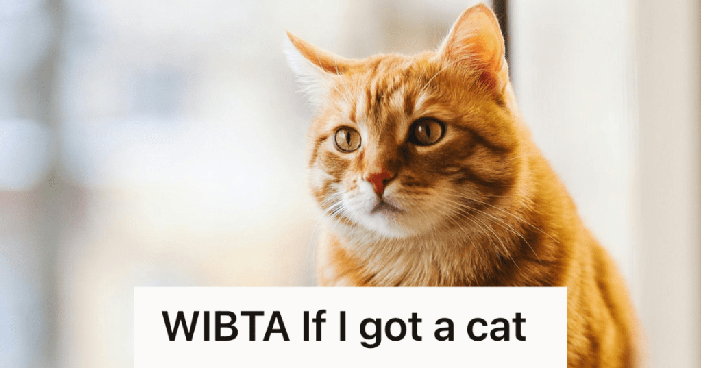 orange cat sitting in a window sill