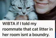 Her Roommate Knew She Had A Cat When She Moved In, But Now She Has A Problem With The Kitty Litter