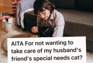 Husband Invites Friend And His Cats To Live In Their One-Bedroom Apartment, But His Wife Is Allergic To Cats