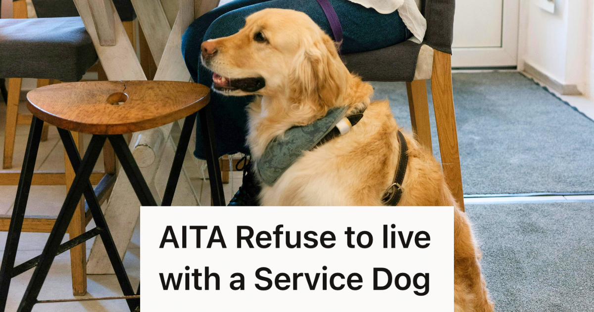 service dog golden retriever