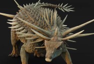 How This Weirdly Spiky Dinosaur Has Challenged Everything We Thought We Knew About Ankylosaurs
