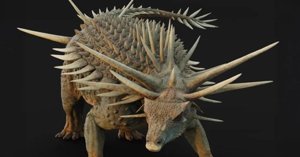 An artist's impression of the spicomellus afer