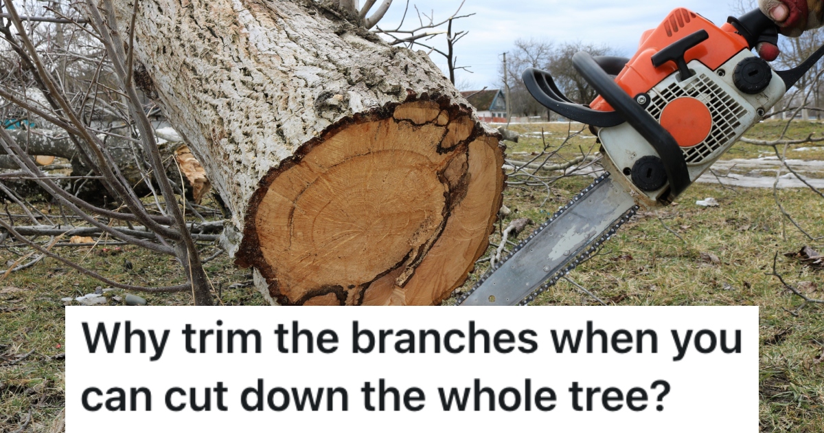person cutting down a tree