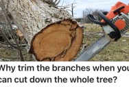 Woman Tried To Trick Neighbors Into Trimming Their Tree, So They Ended Up Cutting The Whole Tree Down To Spite Her