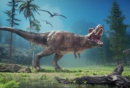 Did You Know That Just Under Half Of US States Have Official State Dinosaurs? Here Are Some Of The Coolest Ones!