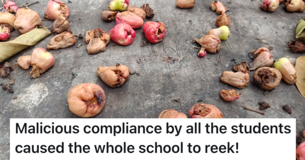 rotten fruit on the ground