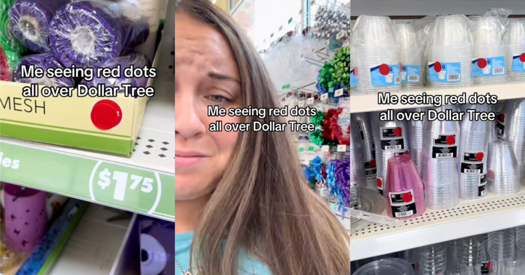 woman in a dollar tree store