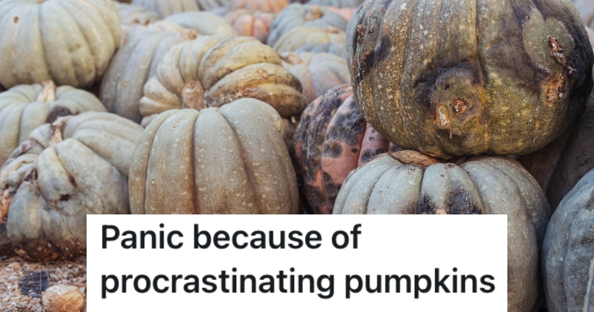 rotten pumpkins in a field