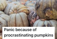 Customer Waited Until The Day Before Halloween To Buy Pumpkins, But She Was Unhappy Because All Of The Pumpkins Left Were In Bad Shape