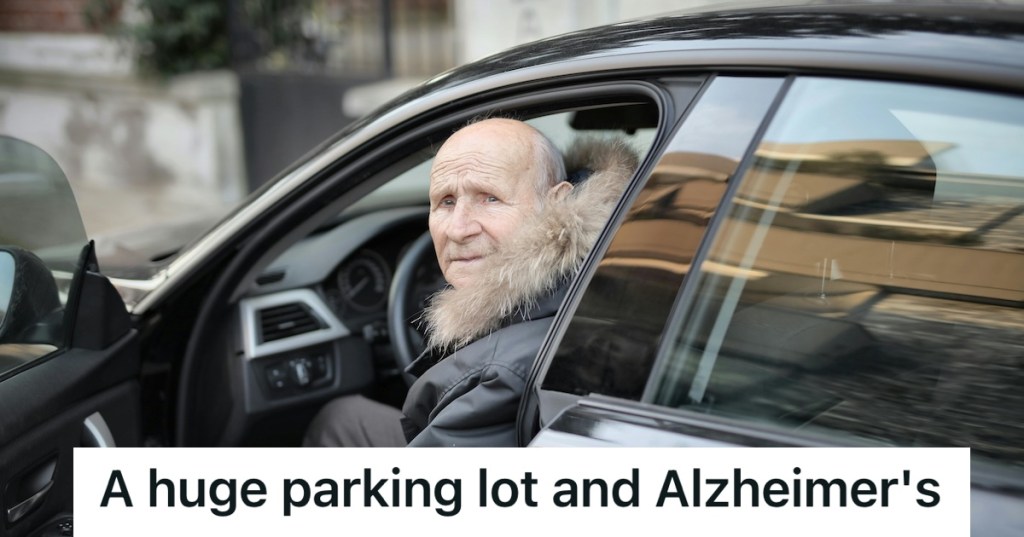 Old man sitting in a car