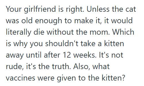 Black Cat 1 Boyfriend Told His Girlfriend She Was Insensitive For Blaming His Parents For Their Sick Cat, But When She Got Defensive, He Brought Up His Late Brother And Made Everything Worse