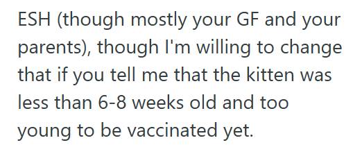 Black Cat 2 Boyfriend Told His Girlfriend She Was Insensitive For Blaming His Parents For Their Sick Cat, But When She Got Defensive, He Brought Up His Late Brother And Made Everything Worse