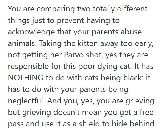 Black Cat 3 Boyfriend Told His Girlfriend She Was Insensitive For Blaming His Parents For Their Sick Cat, But When She Got Defensive, He Brought Up His Late Brother And Made Everything Worse