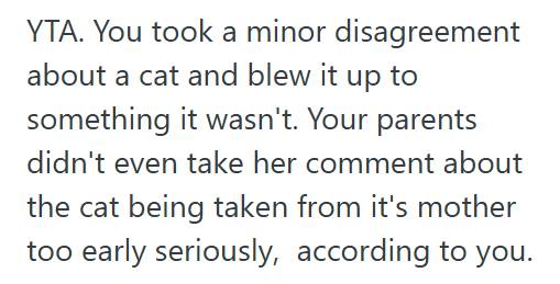 Black Cat Boyfriend Told His Girlfriend She Was Insensitive For Blaming His Parents For Their Sick Cat, But When She Got Defensive, He Brought Up His Late Brother And Made Everything Worse