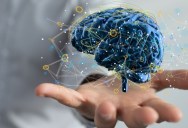 Everything Experts Believed About Consciousness May Be Wrong According To Extensive New Study By Neuroscientist