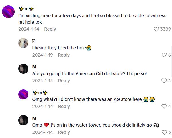 Comment 1 102 The Famous Chicago Rat Hole Has A Huge Following, But It Turns Out That It Was Made By A Squirrel