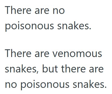 Comment 2 70 The Lifeguard At A Water Park Had To Calm Panicked Guests Due To A Family Of Ducks, Two Snakes, And A Major Storm In What He Describes As The Best Day Ever