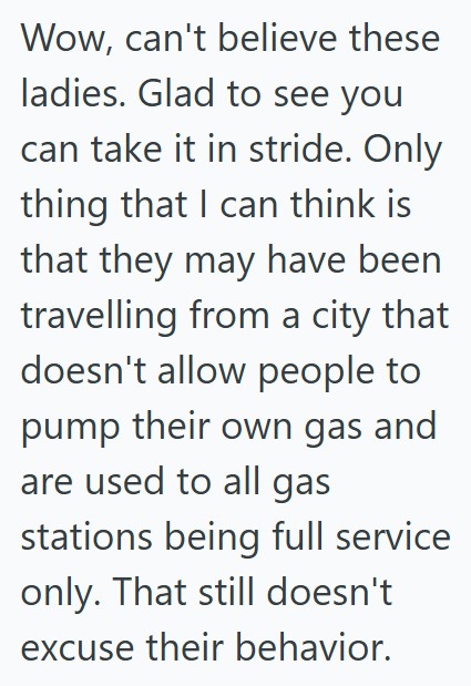 Comment 3 138 Woman Demanded That Another Customer Fill Her Gas Tank And Clear Her Windshield, And She Wouldnt Believe That He Didnt Work There