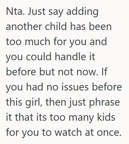 Comment 3 79 She Offered To Babysit Her Cousins Child, But Shes Is A Lot More Work Than She Expected And She Wants To Stop