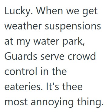 Comment 4 45 The Lifeguard At A Water Park Had To Calm Panicked Guests Due To A Family Of Ducks, Two Snakes, And A Major Storm In What He Describes As The Best Day Ever