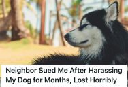 He Destroyed The Drone That Was Harassing His Dog, And The Neighbor Had To Pay Vet Bills Besides