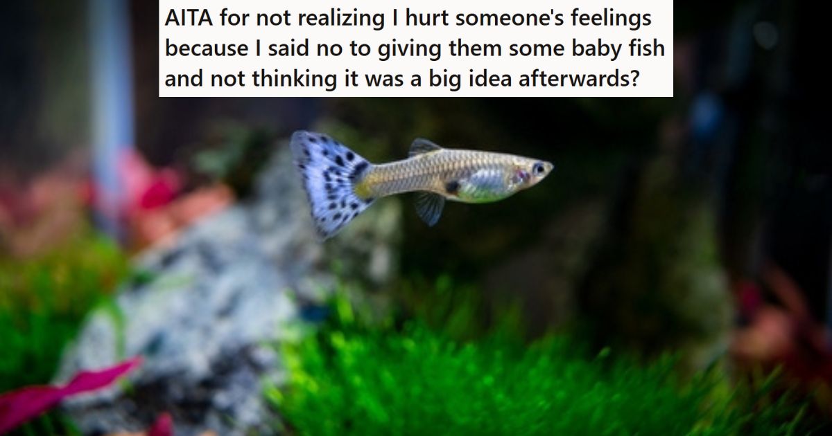 A Family Friend Asked If She Could Have Some Of The Baby Guppies That Just Hatched, But The Aquarium Owner Said No Because The Friend Didnt Have Anywhere To Keep Them Fish in aquarium