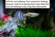 A Family Friend Asked If She Could Have Some Of The Baby Guppies That Just Hatched, But The Aquarium Owner Said No Because The Friend Didn’t Have Anywhere To Keep Them