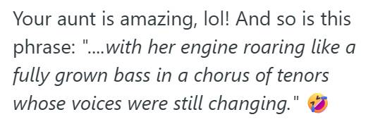 Ford F150 3 Homeowners Neighbors Wouldnt Stop Revving Their Engines And Waking The Family At Night, So Their Aunt Showed Up In Her Ford F 150 And Silenced Them For Good