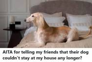 Woman Agreed To Watch Her Friends’ Dog For A Week, But After Sleepless Nights, Broken Doors, And Pee Everywhere, She Told Them To Take The Dog Back