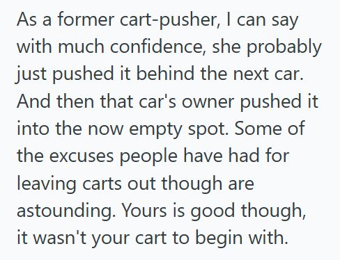 Microwave Lady 2 Man Helped A Woman Load A Microwave Into Her Car In The Lowes Parking Lot, But When She Ordered Him To Return Her Cart, He Left It Behind Her Bumper Instead