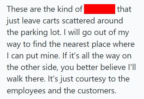 Microwave Lady Man Helped A Woman Load A Microwave Into Her Car In The Lowes Parking Lot, But When She Ordered Him To Return Her Cart, He Left It Behind Her Bumper Instead