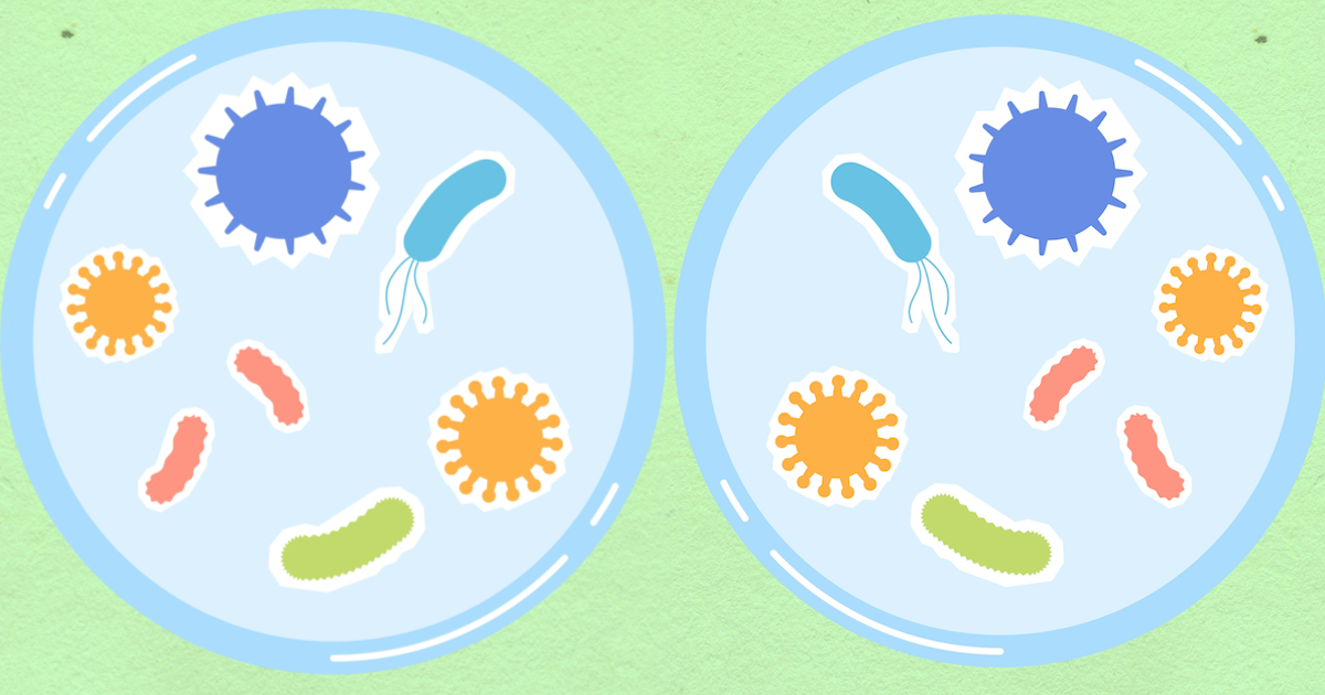 Concerned Scientists Experimenting With Hypothesised Mirror Microbes Suggest Halting The Experiments For Good Mirrored microbes in petri dishes